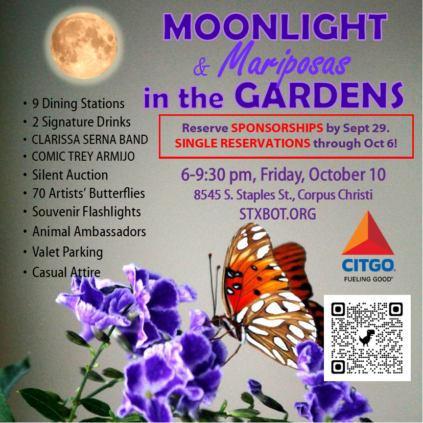 MOONLIGHT & Mariposas IN THE GARDENS