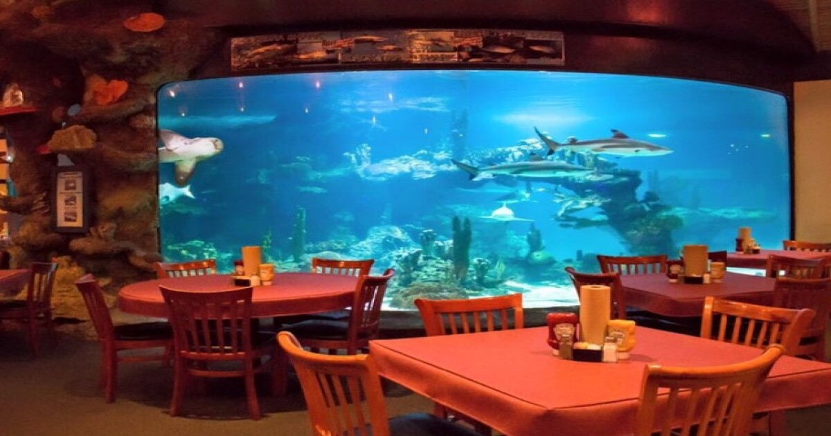 Unique Restaurants In Phoenix 8 Places To Dine With Animals In unique restaurants in phoenix 8 places