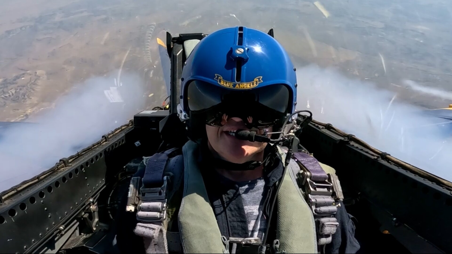 FLY4.jpg