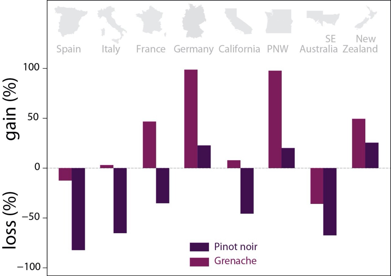 Changes in suitability for different wine-growing regions