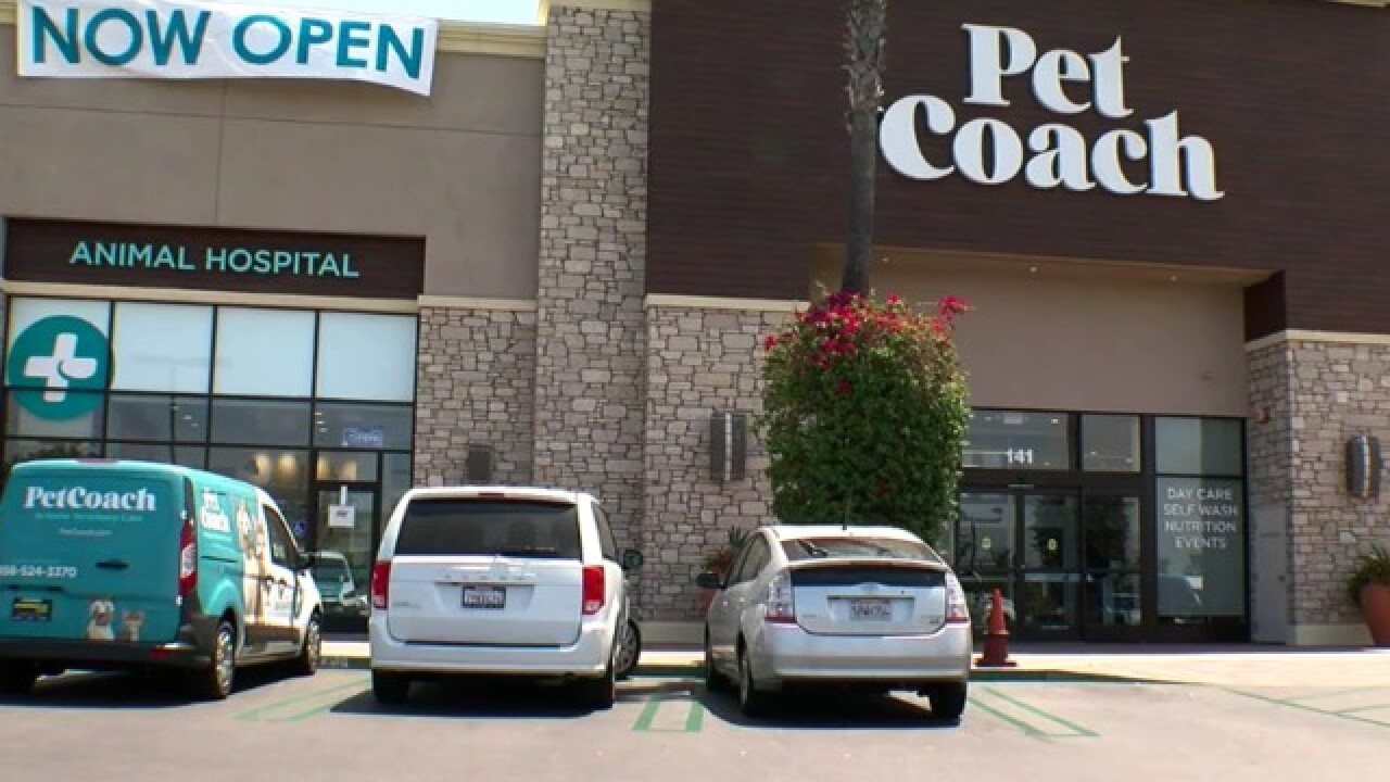 petco opens new concept