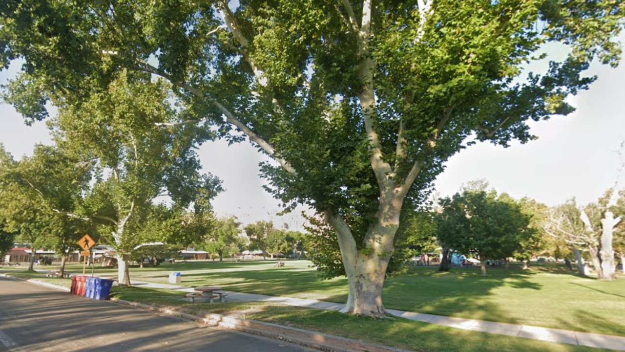 Swanny Park.png