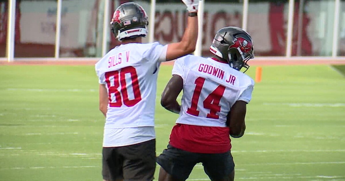 Chris Godwin Jr. and David Sills V went from Delaware pee-wee rivals to Bucs teammates
