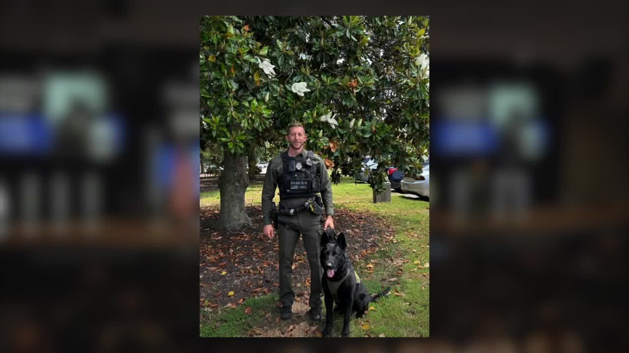 K-9 Knight Chesterfield 