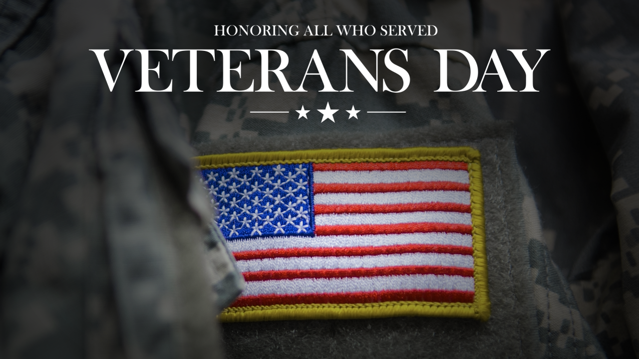 Amc Veterans Day 2025