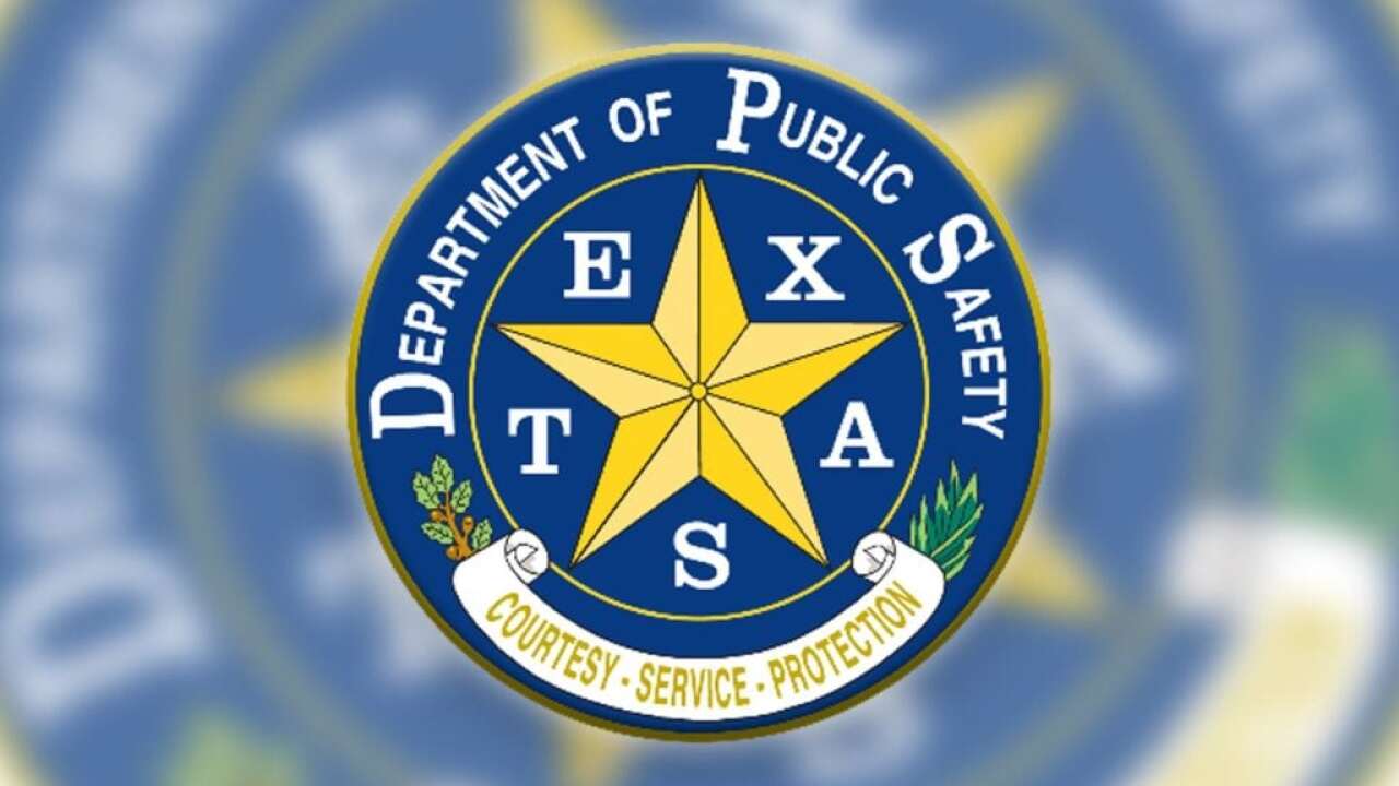 DPS logo