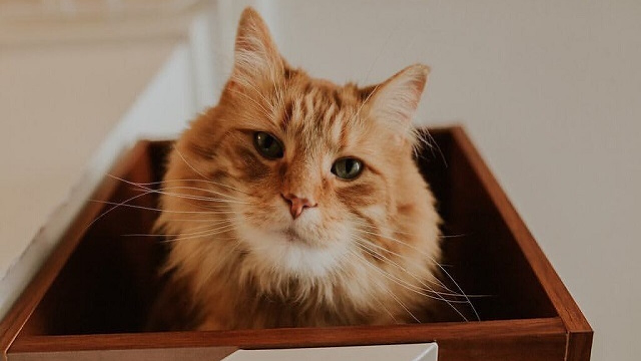 7 Things You Ll Only Find In Fountain Square