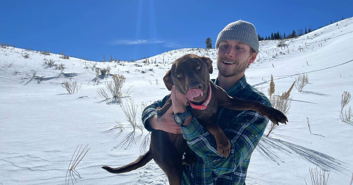 Colorado couple reunited with dog that went missing