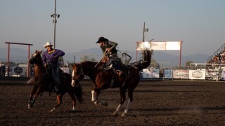 Cowboy