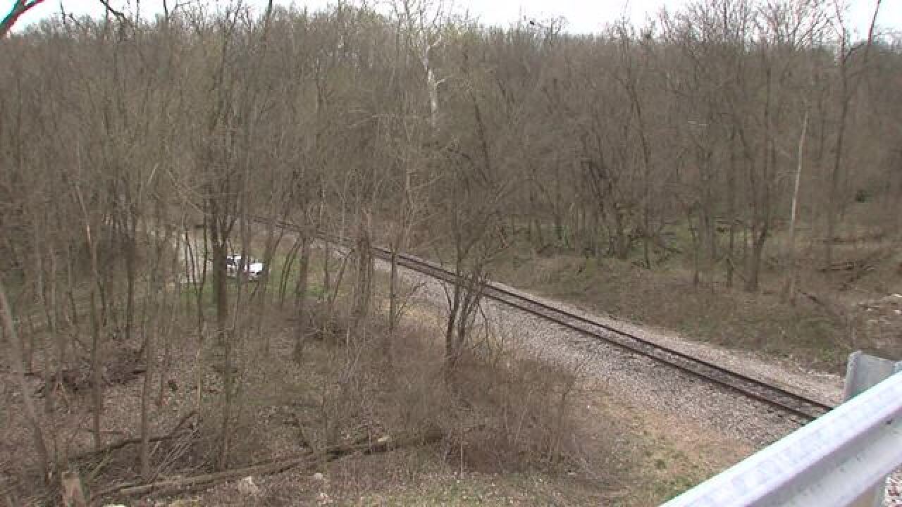 TIMELINE: The murder of Shaylyn Ammerman