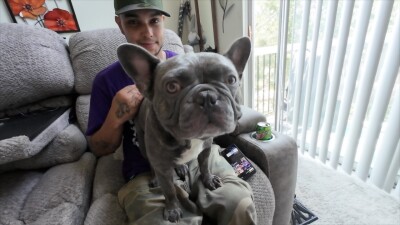 'It was hard' | Man reunited with dog after car theft, still searching for late wife's ashes