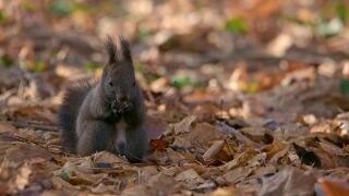 Poster image (24).jpg