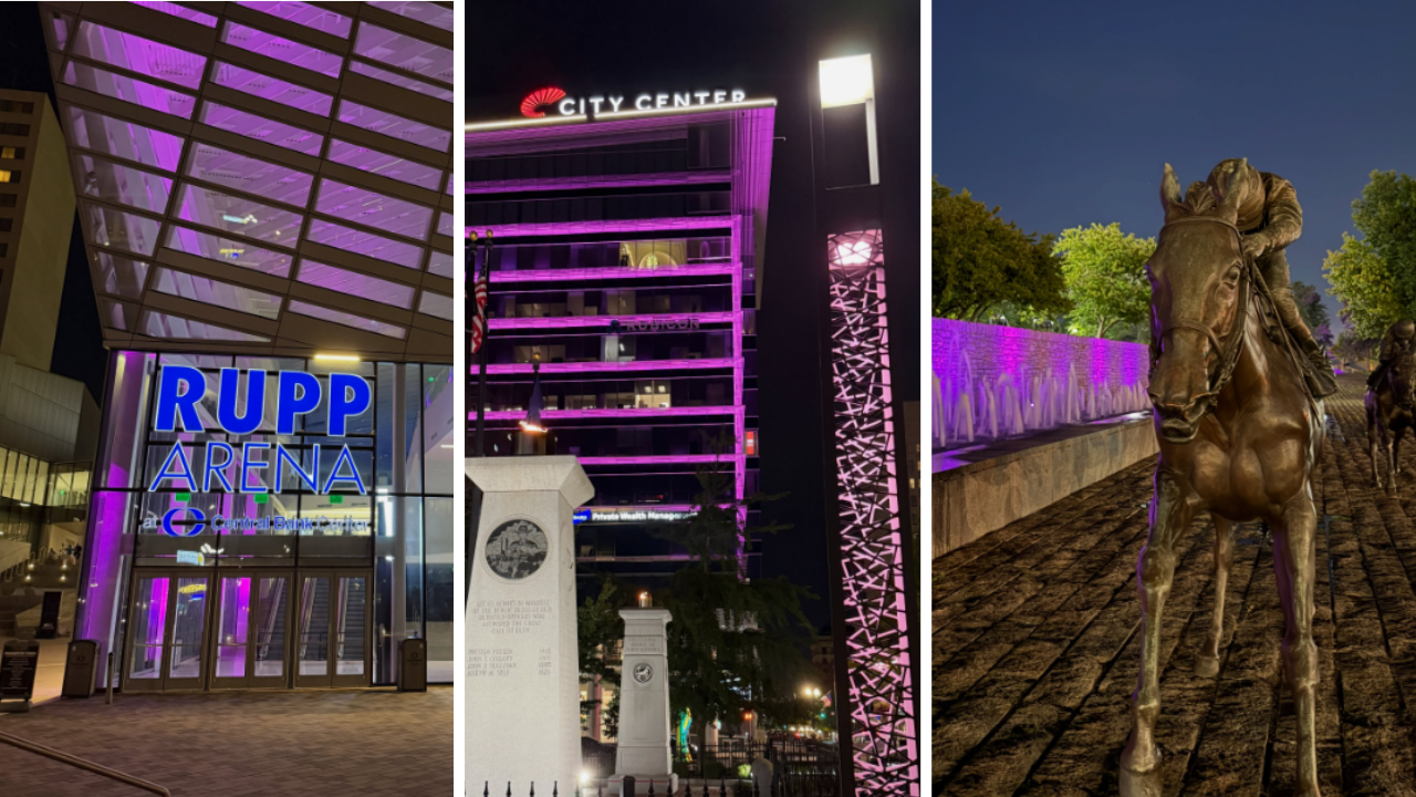 Downtown Lexington Partnership