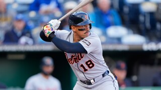 Tigers Baseball