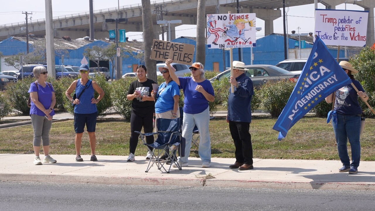 ANTI TRUMP PROTEST PHOTO 3.jpg