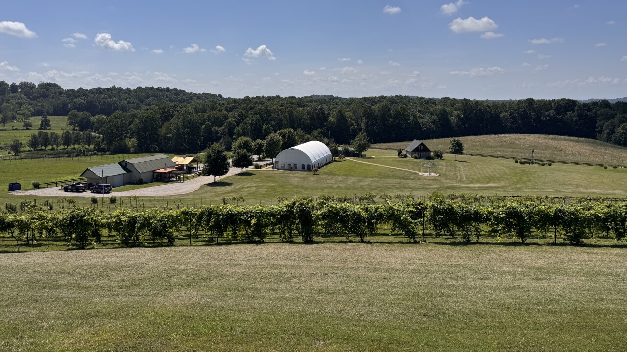 Cave Hill Vineyard and Winery