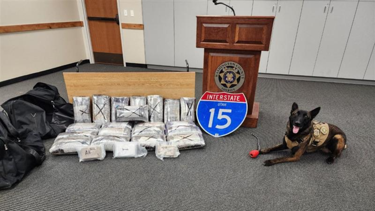 Washington County Sheriff's Office K9 passes after medical emergency