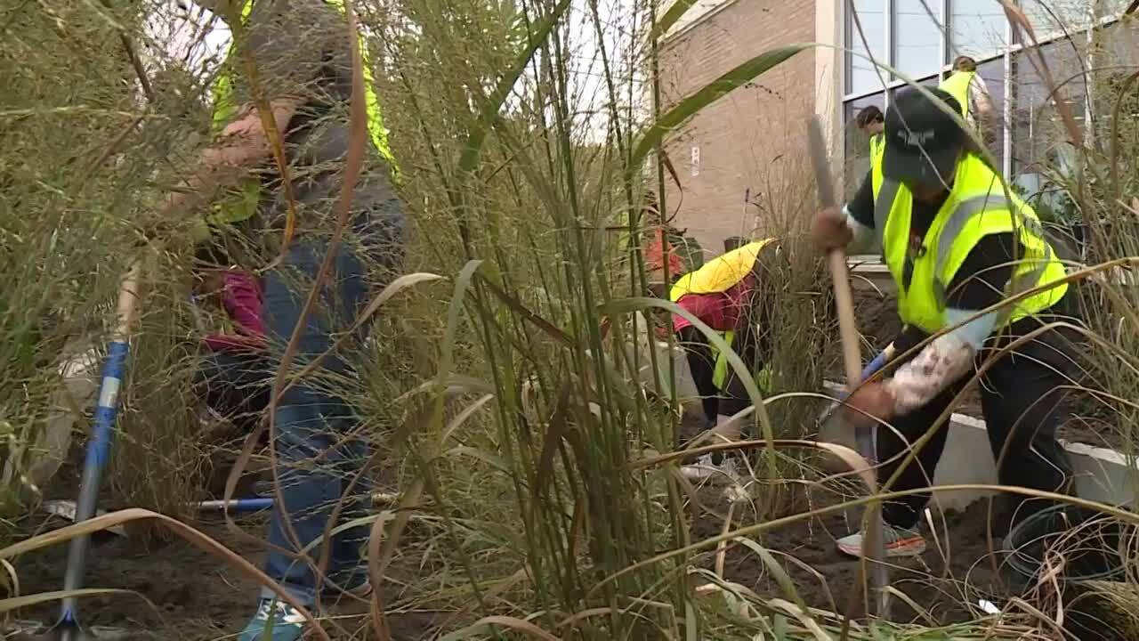 Poster image - 2023-09-29T154609.071.jpg