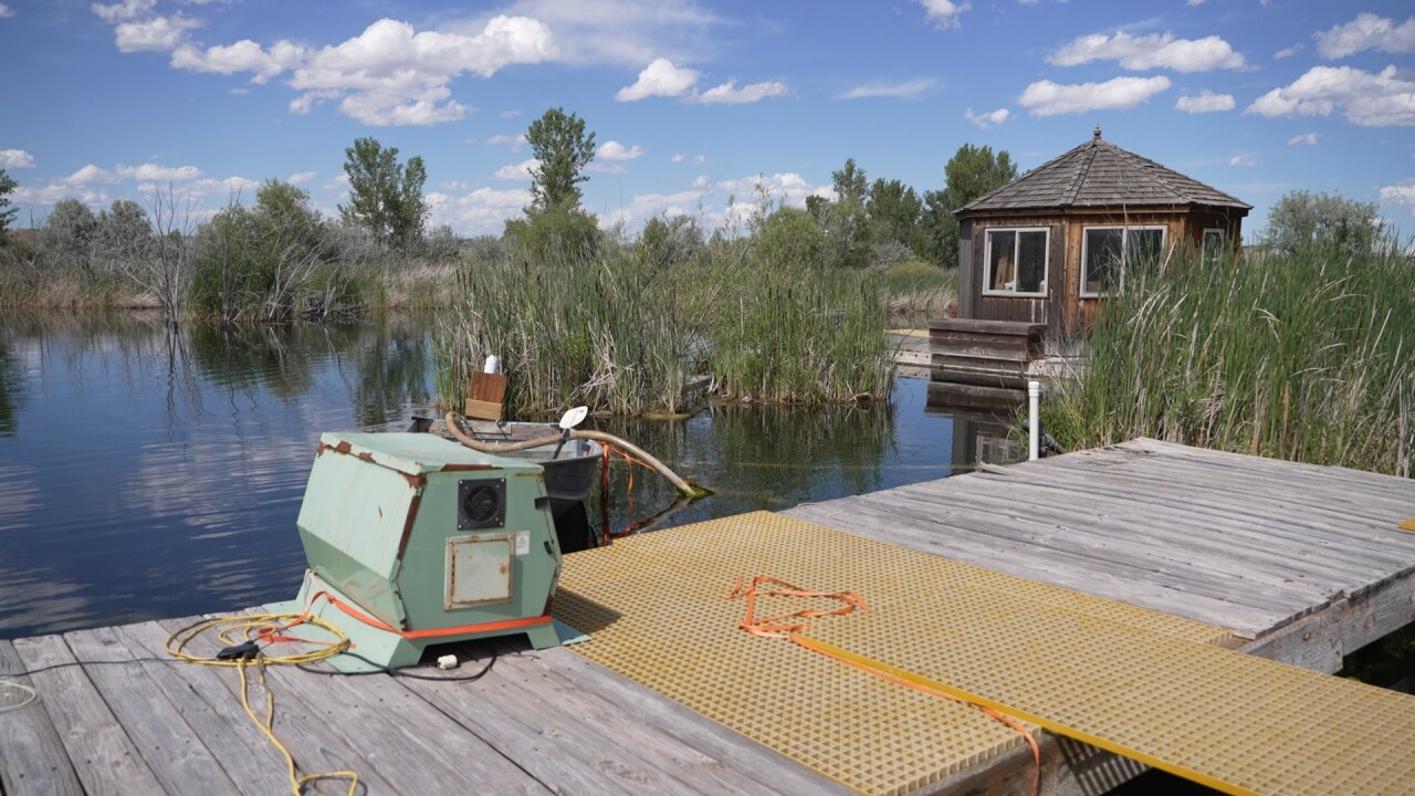 floatingisland5_2.16.1.jpg
