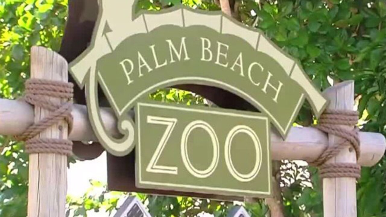 Free admission for kids at the Palm Beach Zoo