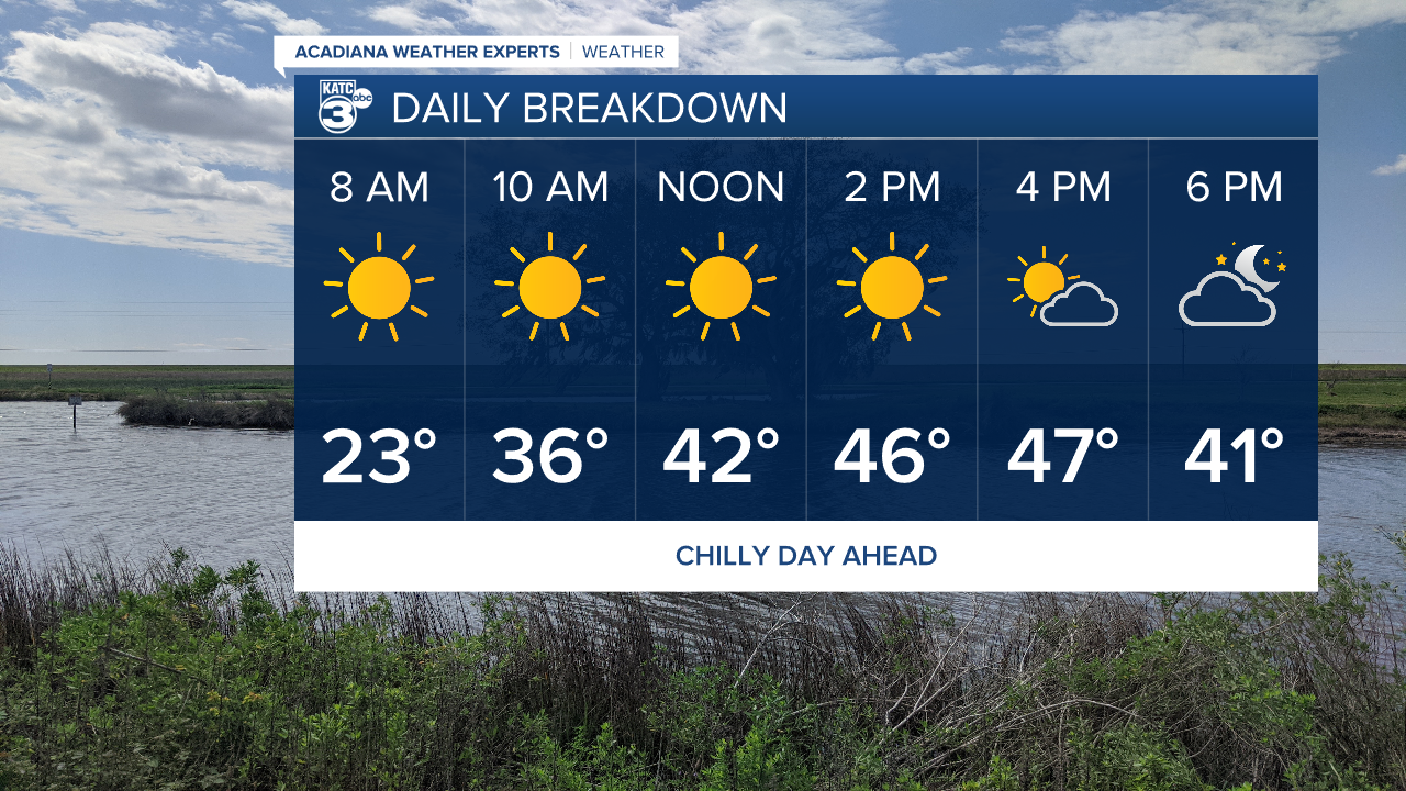 Vert Planner 6 - Hourly.png