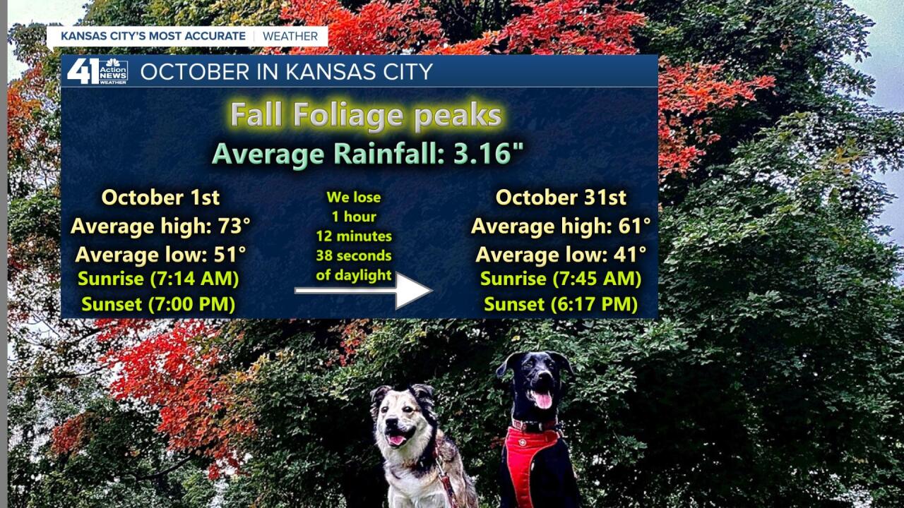 October Averages.jpg