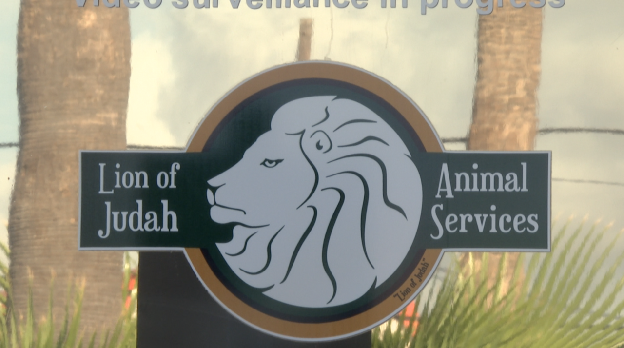 LION OF JUDAH