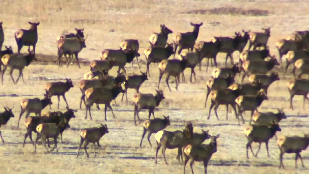 Poster image (84).jpg