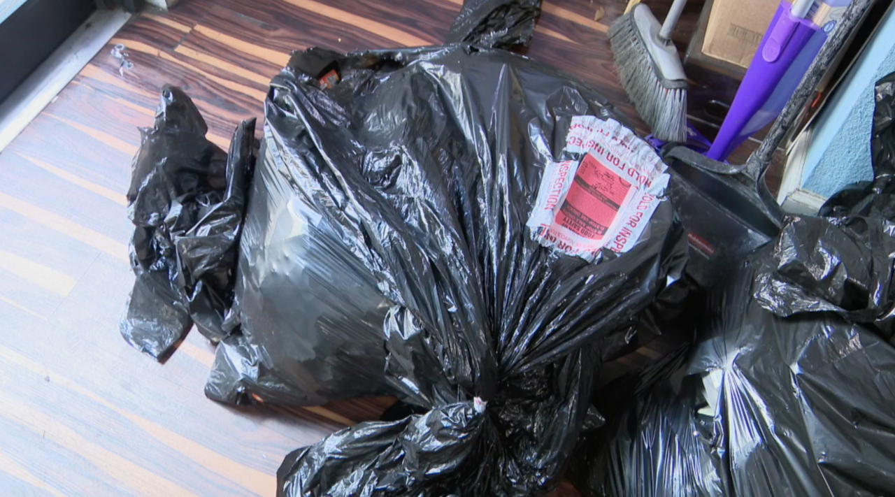 bags of merchandise Sunshine Wellness June 2024.png