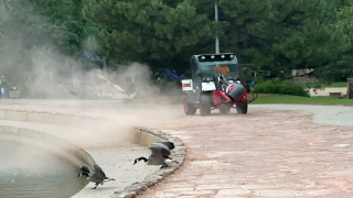 Fort Collins city employee using a mechanical blower at City Park 