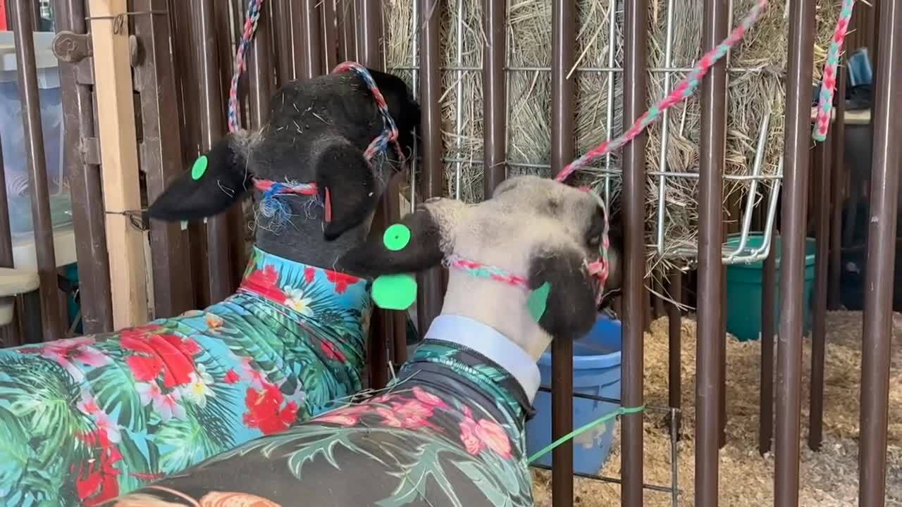 Poster image - 2025-07-18T163201.094.jpg