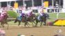 National Treasure wins 148th Preakness Stakes