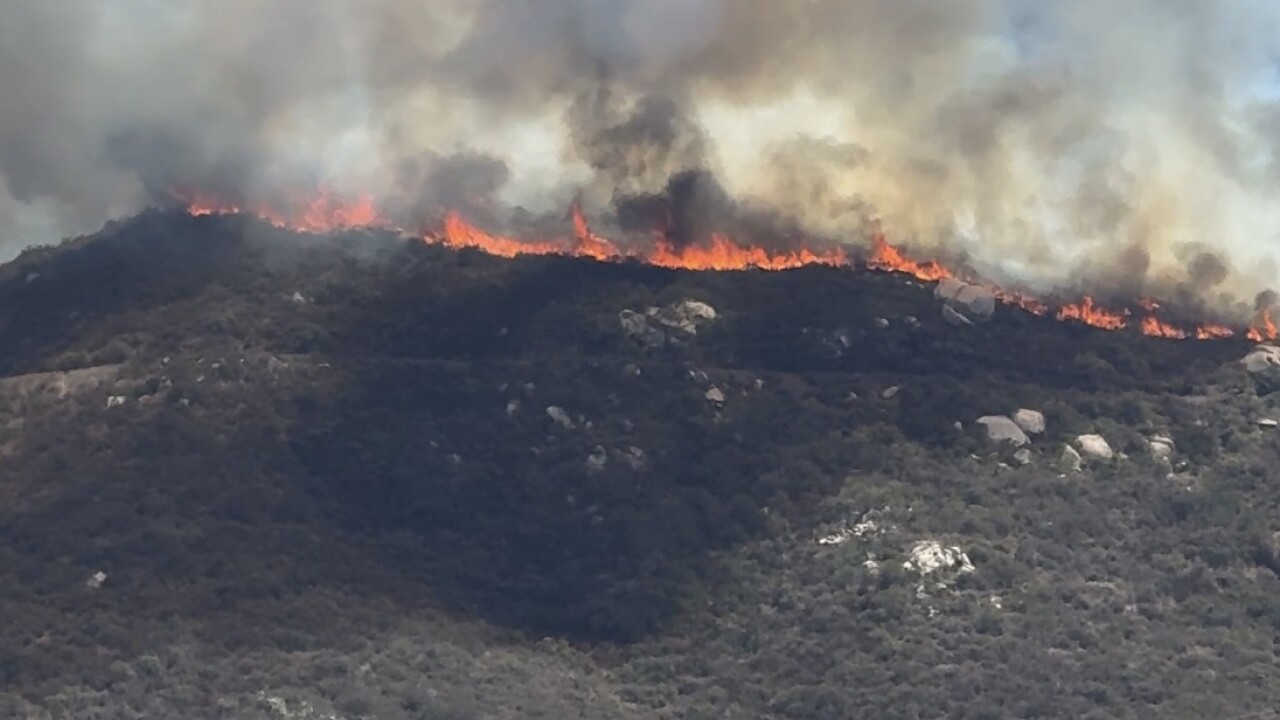 Steele Fire -- Jamul 7/9/25