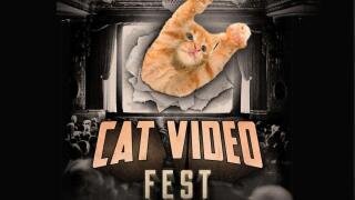 CatVideoFest