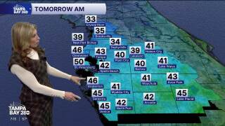 Forecast, Jan. 29, evening update