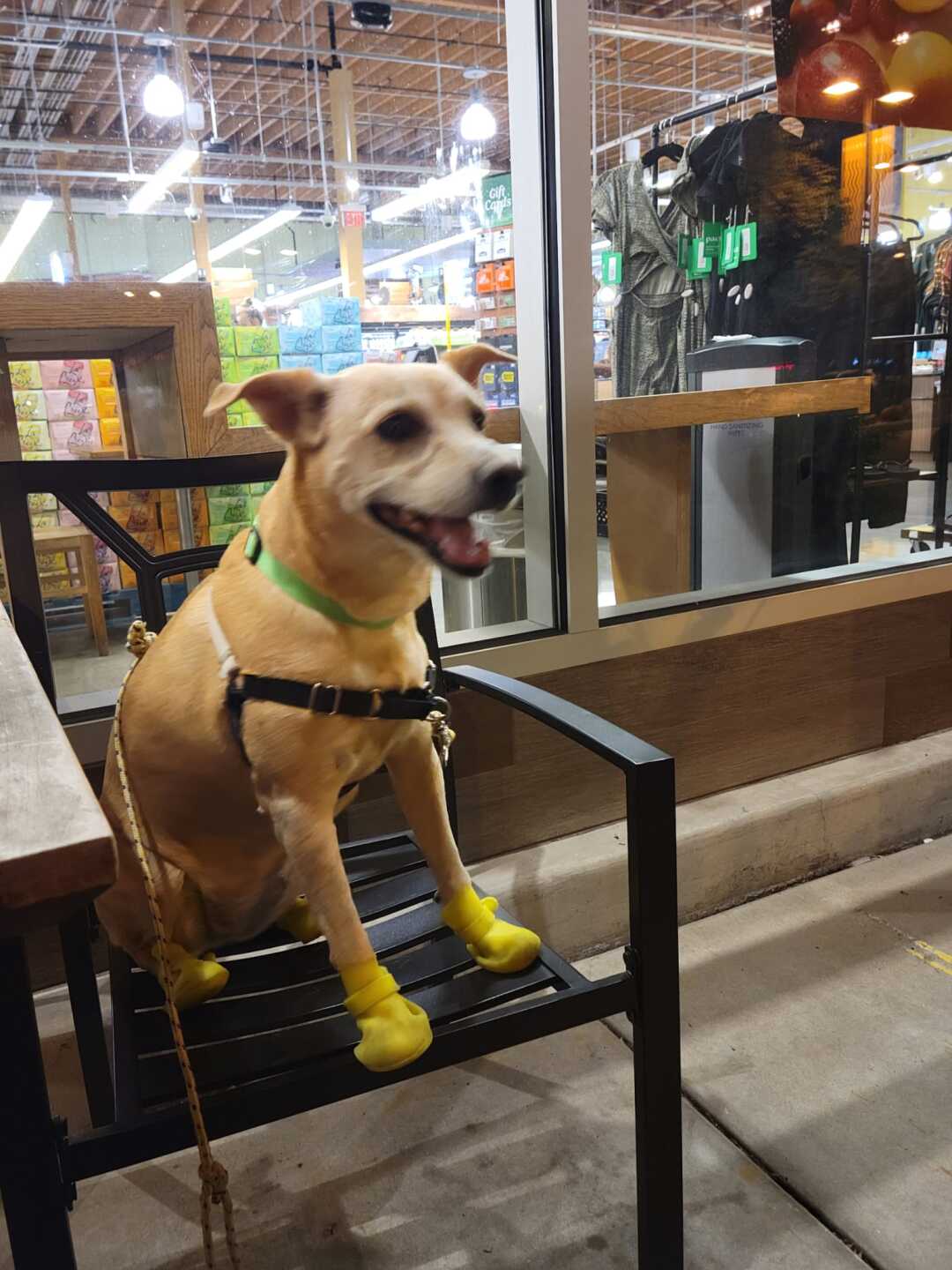Kylie models her boots