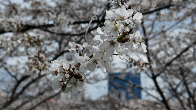 Screenshot 2026-03-30 at 6.01.43 PM.png