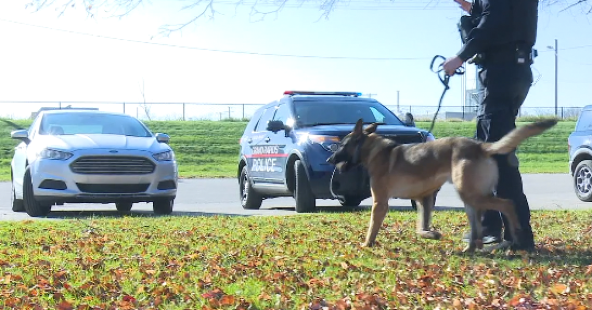 Grand Rapids accountability office wants new rules on police K-9 use