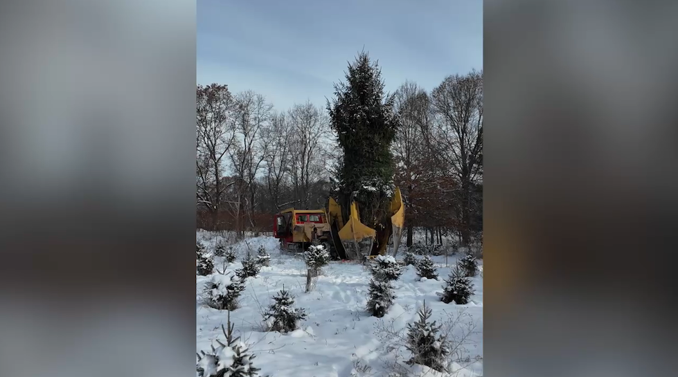 Screenshot 2025-12-08 at 6.14.13 PM.png