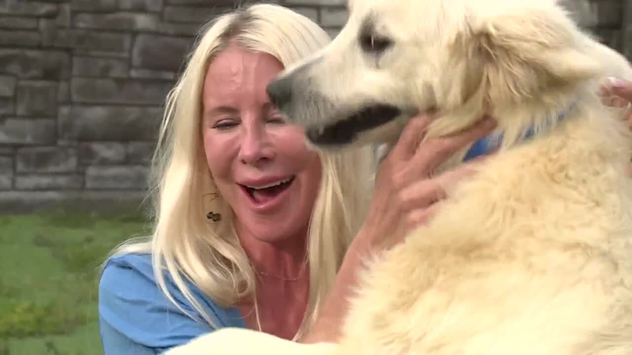 Natalie Paige with Big Dog Ranch Rescue says "if we could take them all we would but we are always pushing the capacity to be able to help other dogs in need." March 18, 2024