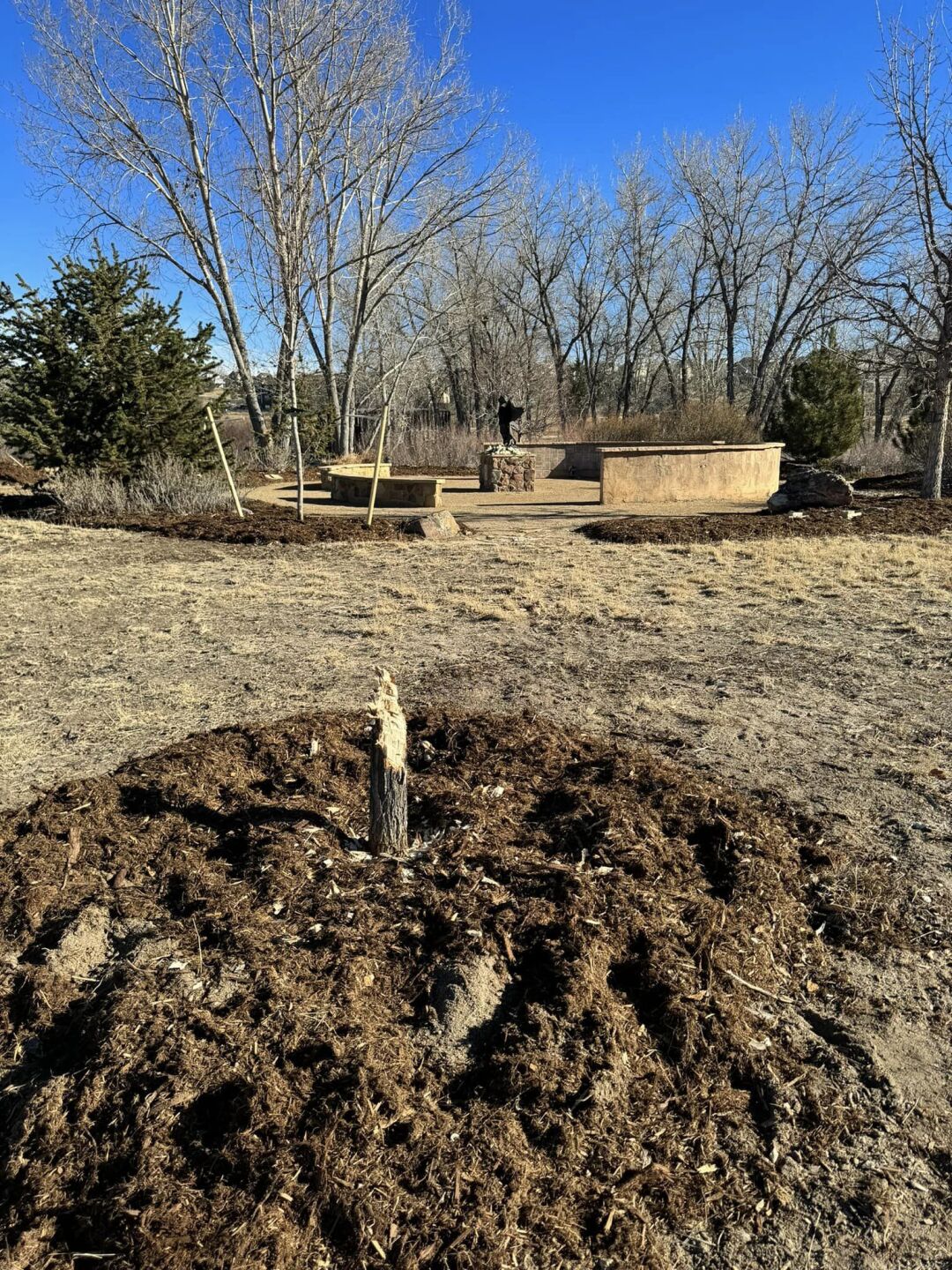 Rowan Tree Foundation