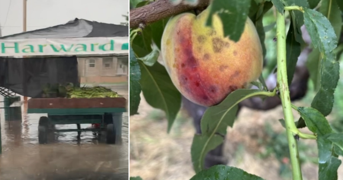 Green Bay storm leaves 60 in temporary housing Green bay farmers' market canceled due to severe weather