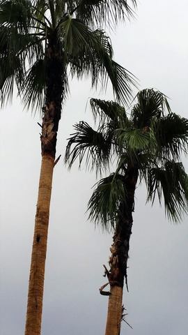 PHOTOS: Weather photos from around Las Vegas