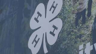 4H