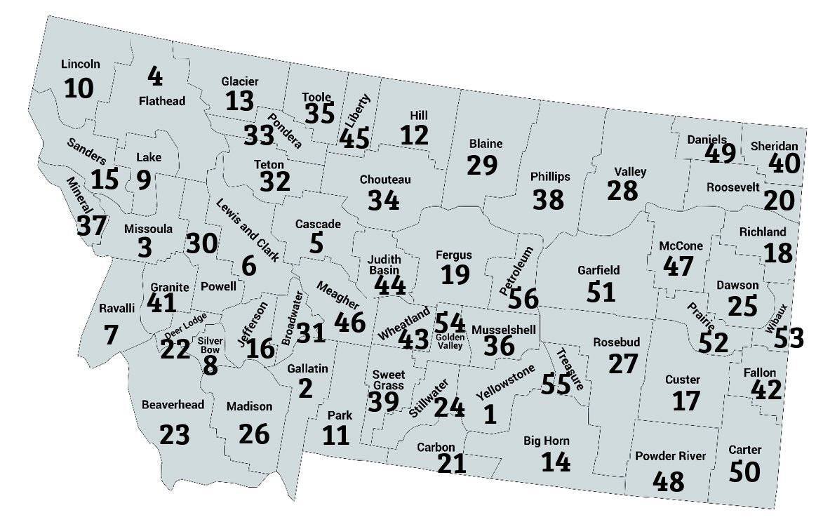 New county number rankings based on population size