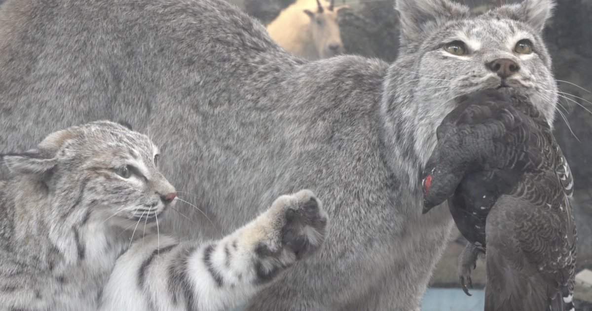 Montana FWP sets up “Nature's Den” at Montana State Fair