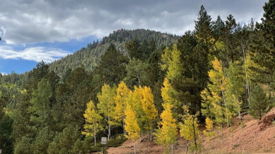 Teller County fall colors