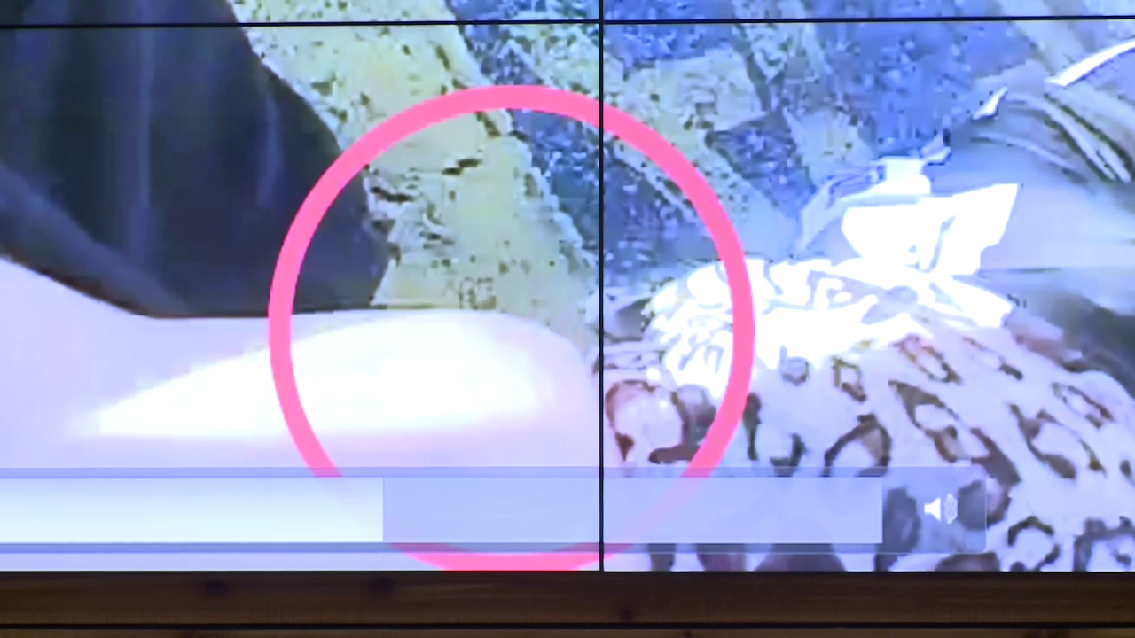Footage from VBPD