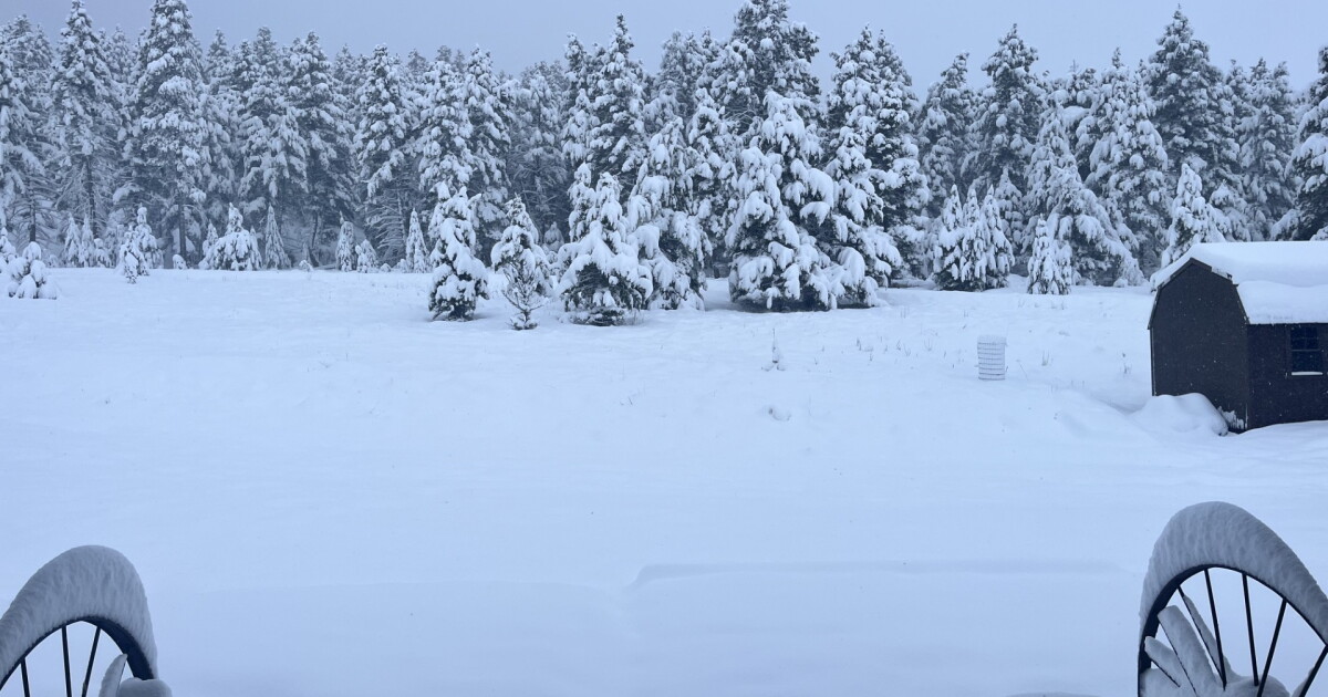 Heavy snow slams southwest Montana