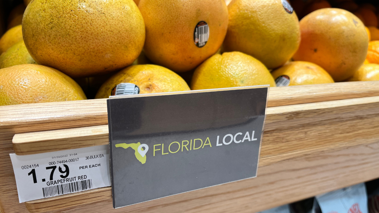 Florida oranges generic Stassy Olmos WFTS4.png